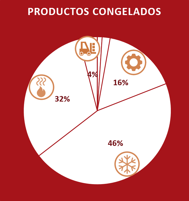 Usos finales de energía productos cárnicos congelados 