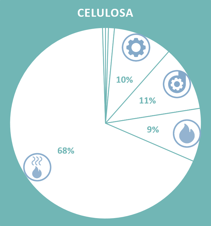Usos finales de energía producción de celulosa